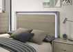 Rainier E.King Bed - Esencia Home Furniture (Fontana, CA)