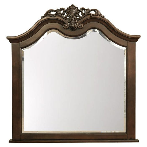 Mont Belvieu Mirror in Dark Cherry 1869-6 image